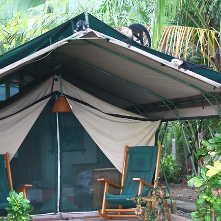 Rafiki Beach Camp Matapalo  Zewnętrze zdjęcie