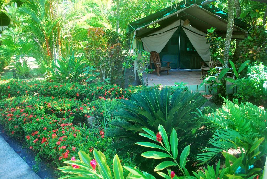 Rafiki Beach Camp Matapalo  Pokój zdjęcie