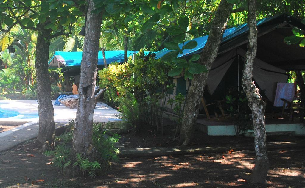 Rafiki Beach Camp Matapalo  Pokój zdjęcie